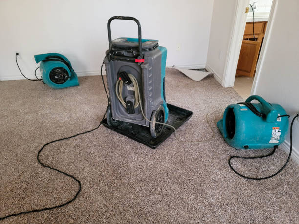Best Commercial water damage restoration  in Stephenville, TX