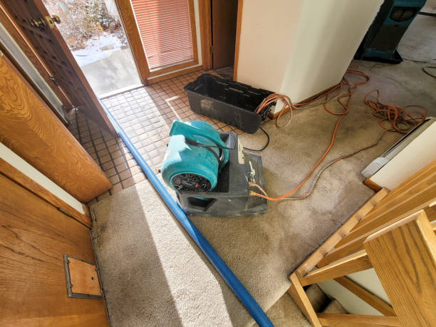 Best Ceiling water damage repair  in Stephenville, TX