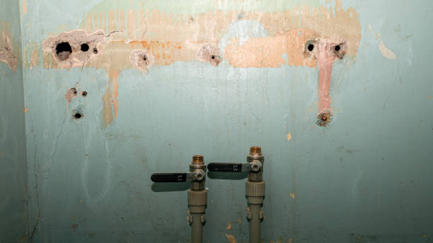 Best Ceiling water damage repair  in Stephenville, TX
